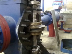 Galería de trabajos